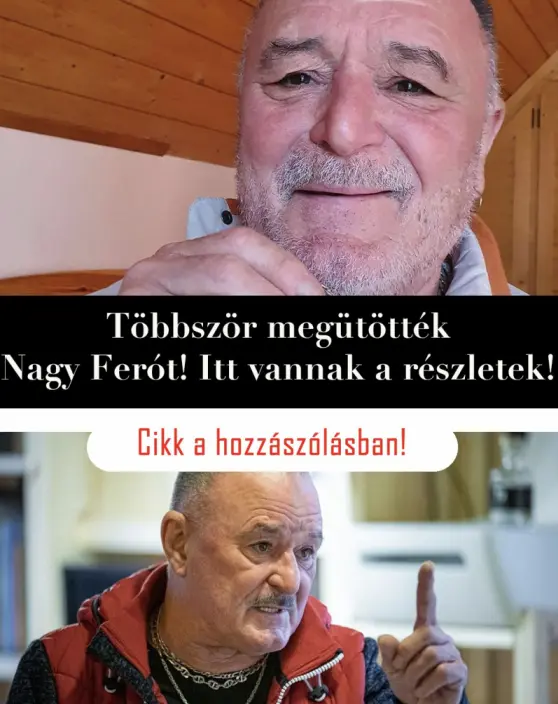 nagyfero 60541237831628 n