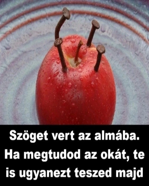 Szoget vert az almaba. Ha megtudod az 