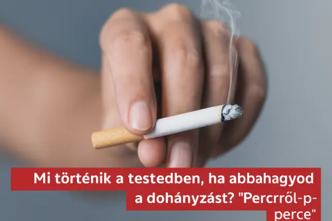 cigileszokas