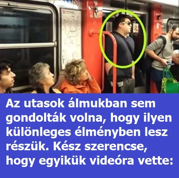 felvettek utas
