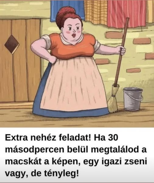 macska 4x850