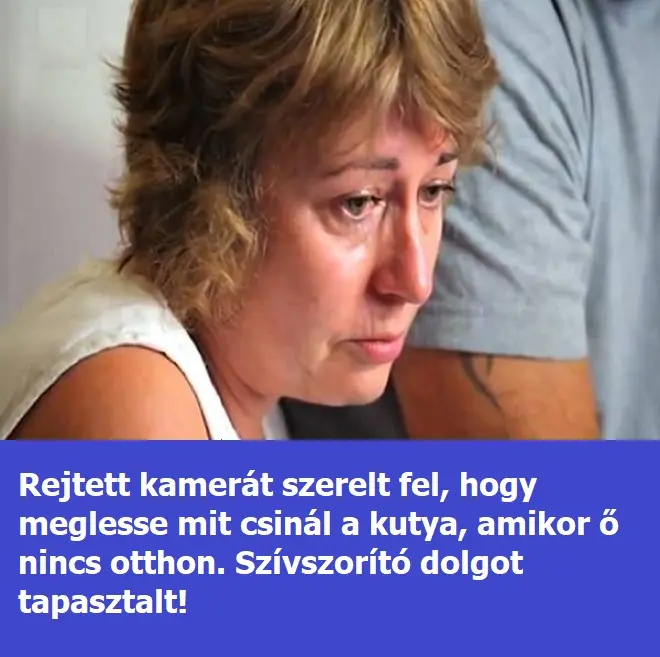wertz