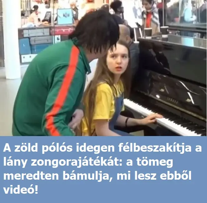 zongoraidegen388 n