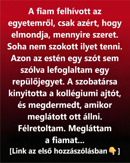 Egy egyszerű hívás a fiamtól arra késztetett, hogy meglátogassam, és többet jelentett, mint hittem...