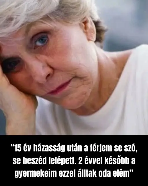 15evhazassagutan3507 n