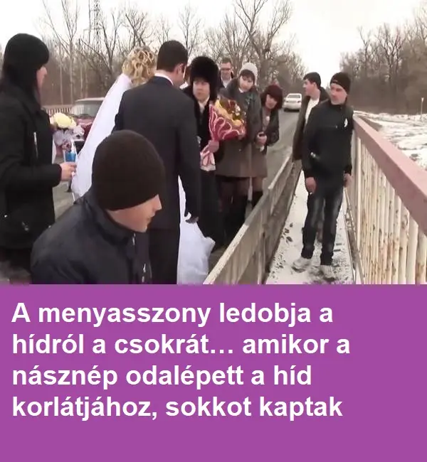 eskuvohidon