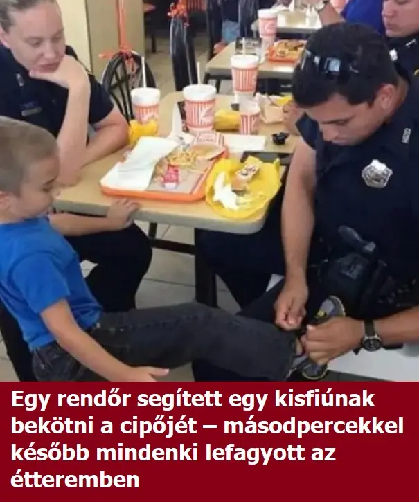 rendorsegit 2582172702902025815 n
