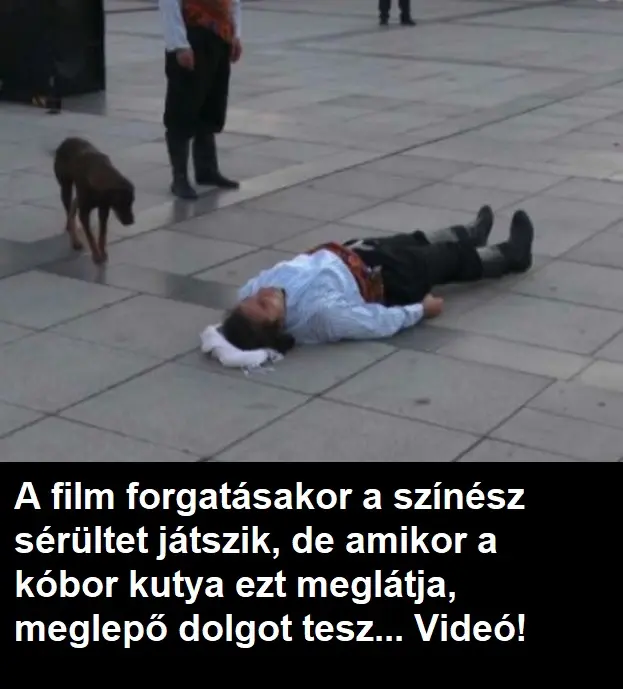 serultszinesz
